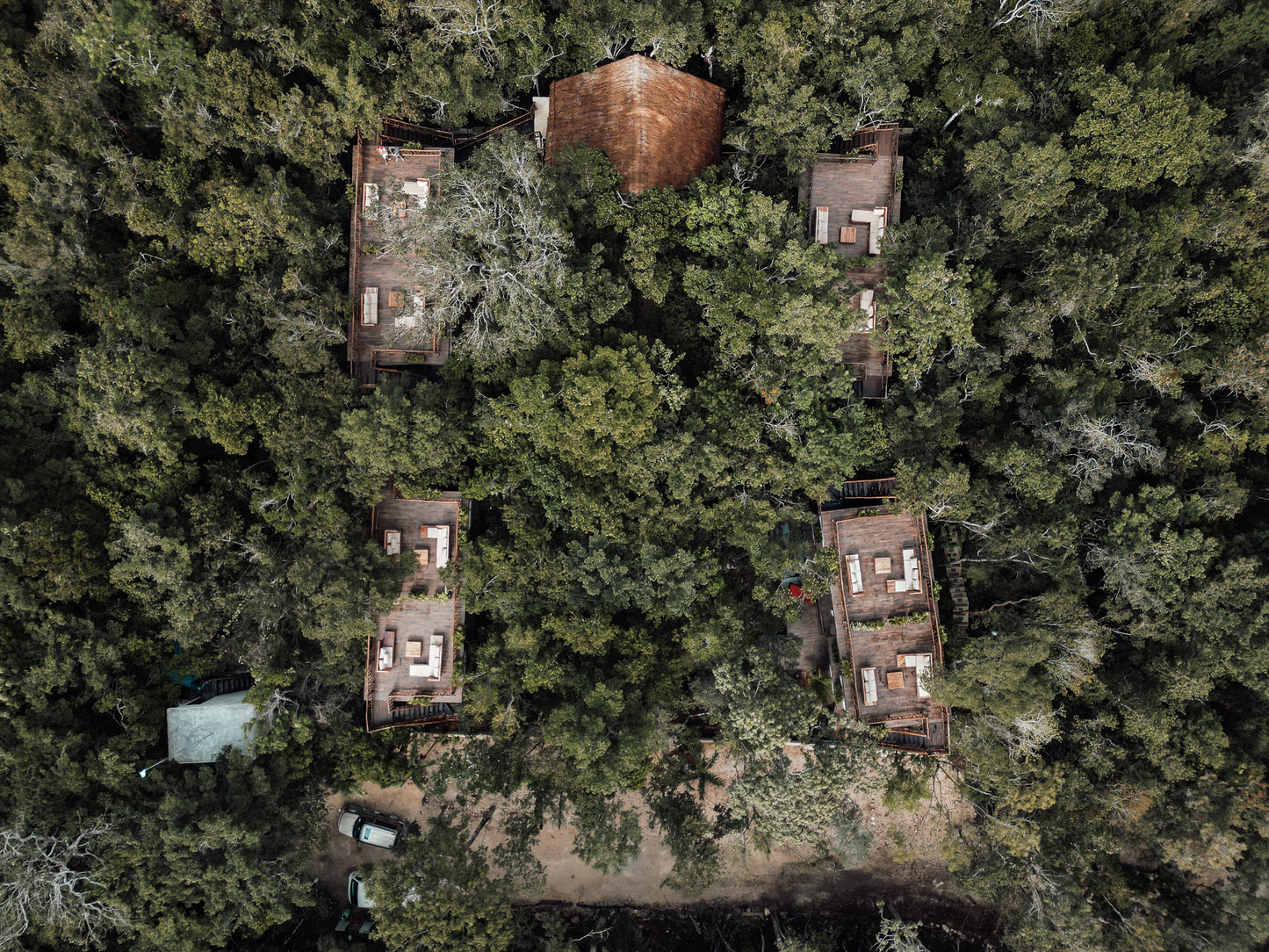 Balance of Earth's Elements Retreat| JUNE 2026