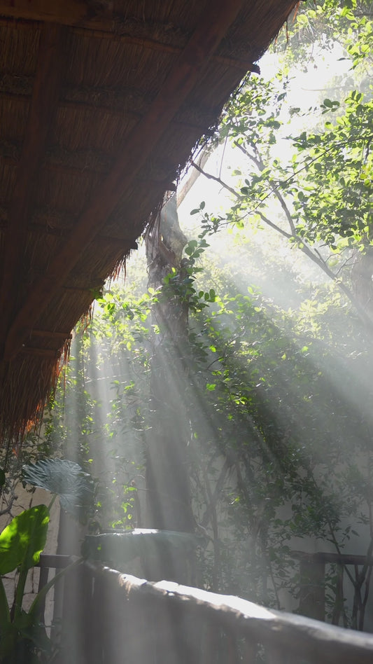 Balance of Earth's Elements Retreat| JUNE 2026